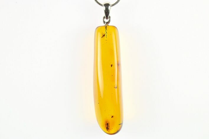 Polished Baltic Amber Pendant (Necklace) - Contains Insects! #275717